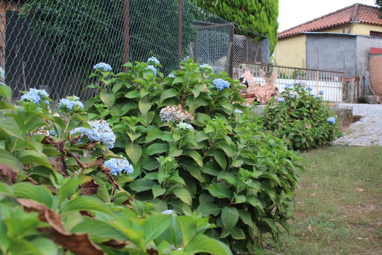 Quinta Da Imaculada Villa อาร์กอสเดวัลเดเวซ ภายนอก รูปภาพ